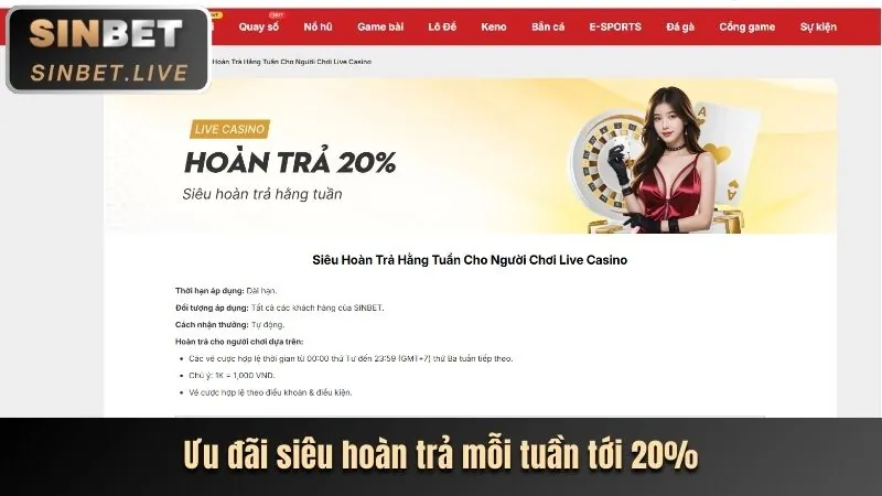 Hoàn trả thể thao và casino Dafabet